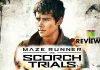 ‘Maze Runner: The Scorch Trials’ Movie Review: With “The Scorch Trials” the series gets a tougher outlook!!! Maze Runner The Scorch Trials Movie Review