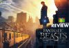 Fantastic Beasts and Where to Find Them Movie Review: These BEASTS are astonishing and leaves the audience in their awe, a perfect foundation for the upcoming sequels!!! Fantastic Beasts and Where to Find Them Movie Review