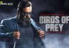 Birds of prey by Sarath Kumar!! Birds of prey by Sarath Kumar!!